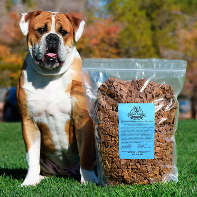 Auto Repair Express LLC - Auto Repair in Lihue