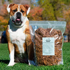 10 lb bag of Grand Future Real Beef Air Dried Dog Food with Grand Future American Bulldog