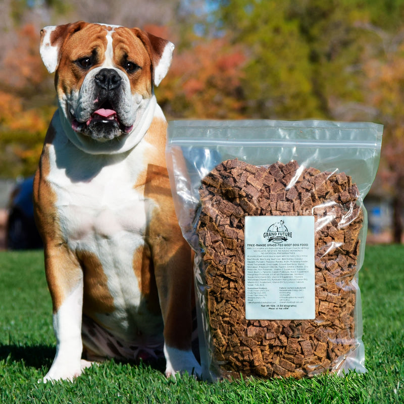 Grand Future Air Dried Beef Dog Food